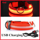 Coleira LED Recarregável para Cachorros e Gatos – 3 Modos Luminosa com USB, Destacável, Anti-Perda para Noite