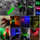 Coleira LED Recarregável para Cachorros e Gatos – 3 Modos Luminosa com USB, Destacável, Anti-Perda para Noite