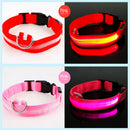 Coleira LED Recarregável para Cachorros e Gatos – 3 Modos Luminosa com USB, Destacável, Anti-Perda para Noite