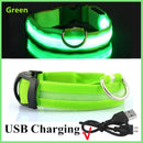 Coleira LED Recarregável para Cachorros e Gatos – 3 Modos Luminosa com USB, Destacável, Anti-Perda para Noite