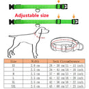 Coleira LED Recarregável para Cachorros e Gatos – 3 Modos Luminosa com USB, Destacável, Anti-Perda para Noite