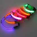 Coleira LED Recarregável para Cachorros e Gatos – 3 Modos Luminosa com USB, Destacável, Anti-Perda para Noite