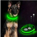 Coleira LED Recarregável para Cachorros e Gatos – 3 Modos Luminosa com USB, Destacável, Anti-Perda para Noite