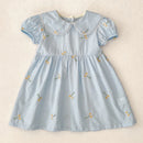 Vestido Infantil Princesa Floral com Bordado – Algodão, 1 a 6 Anos – Modelo Europeu