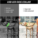 Coleira LED Recarregável para Cachorros e Gatos – 3 Modos Luminosa com USB, Destacável, Anti-Perda para Noite