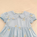 Vestido Infantil Princesa Floral com Bordado – Algodão, 1 a 6 Anos – Modelo Europeu