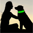 Coleira LED Recarregável para Cachorros e Gatos – 3 Modos Luminosa com USB, Destacável, Anti-Perda para Noite