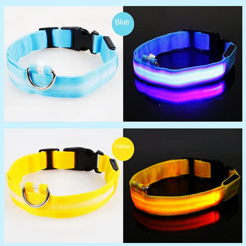 Coleira LED Recarregável para Cachorros e Gatos – 3 Modos Luminosa com USB, Destacável, Anti-Perda para Noite