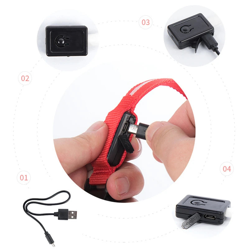Coleira LED Recarregável para Cachorros e Gatos – 3 Modos Luminosa com USB, Destacável, Anti-Perda para Noite