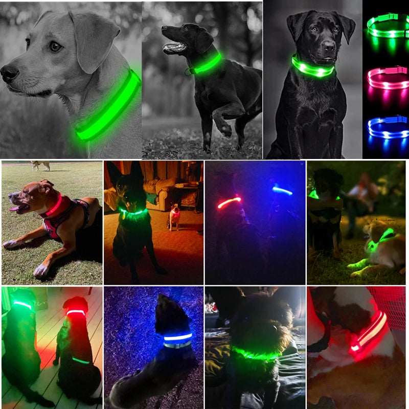 Coleira LED Recarregável para Cachorros e Gatos – 3 Modos Luminosa com USB, Destacável, Anti-Perda para Noite