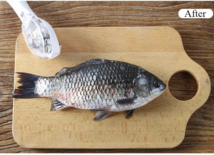 Raspador de Escamas de Peixe | Escova para Limpeza de Peixe e Frutos do Mar | Acessório de Cozinha Ecológico