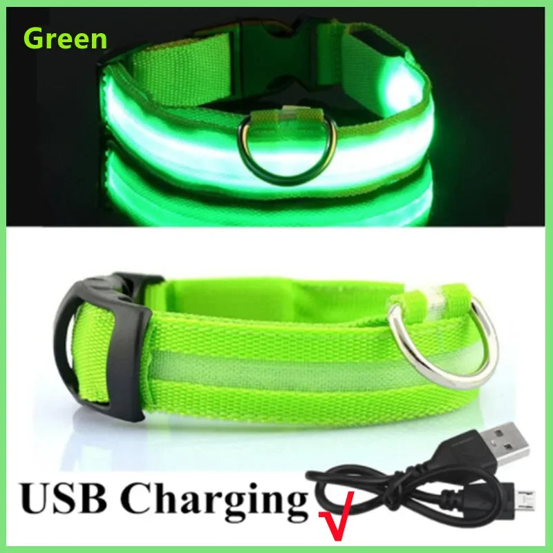Coleira LED Recarregável para Cachorros e Gatos – 3 Modos Luminosa com USB, Destacável, Anti-Perda para Noite
