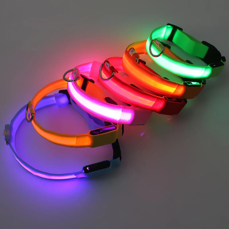 Coleira LED Recarregável para Cachorros e Gatos – 3 Modos Luminosa com USB, Destacável, Anti-Perda para Noite