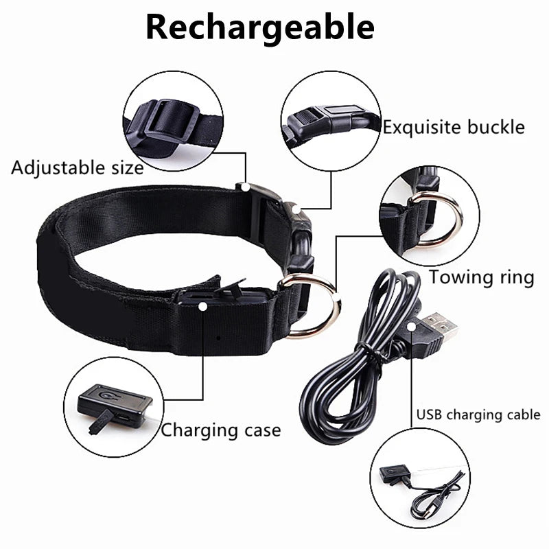 Coleira LED Recarregável para Cachorros e Gatos – 3 Modos Luminosa com USB, Destacável, Anti-Perda para Noite