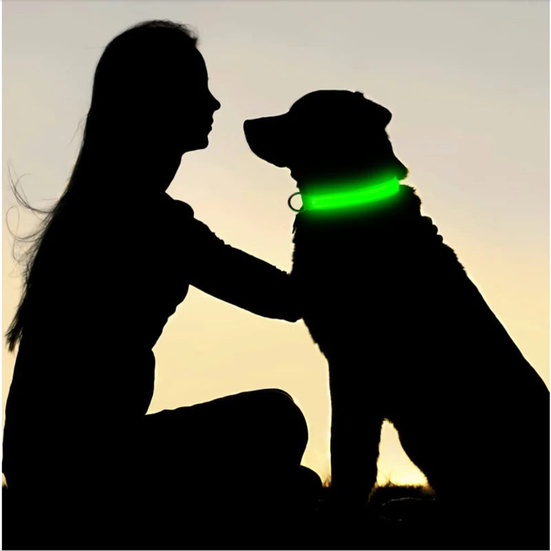 Coleira LED Recarregável para Cachorros e Gatos – 3 Modos Luminosa com USB, Destacável, Anti-Perda para Noite