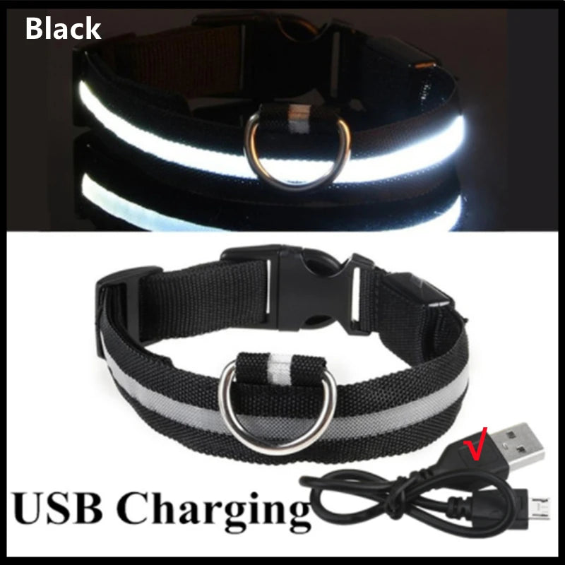 Coleira LED Recarregável para Cachorros e Gatos – 3 Modos Luminosa com USB, Destacável, Anti-Perda para Noite
